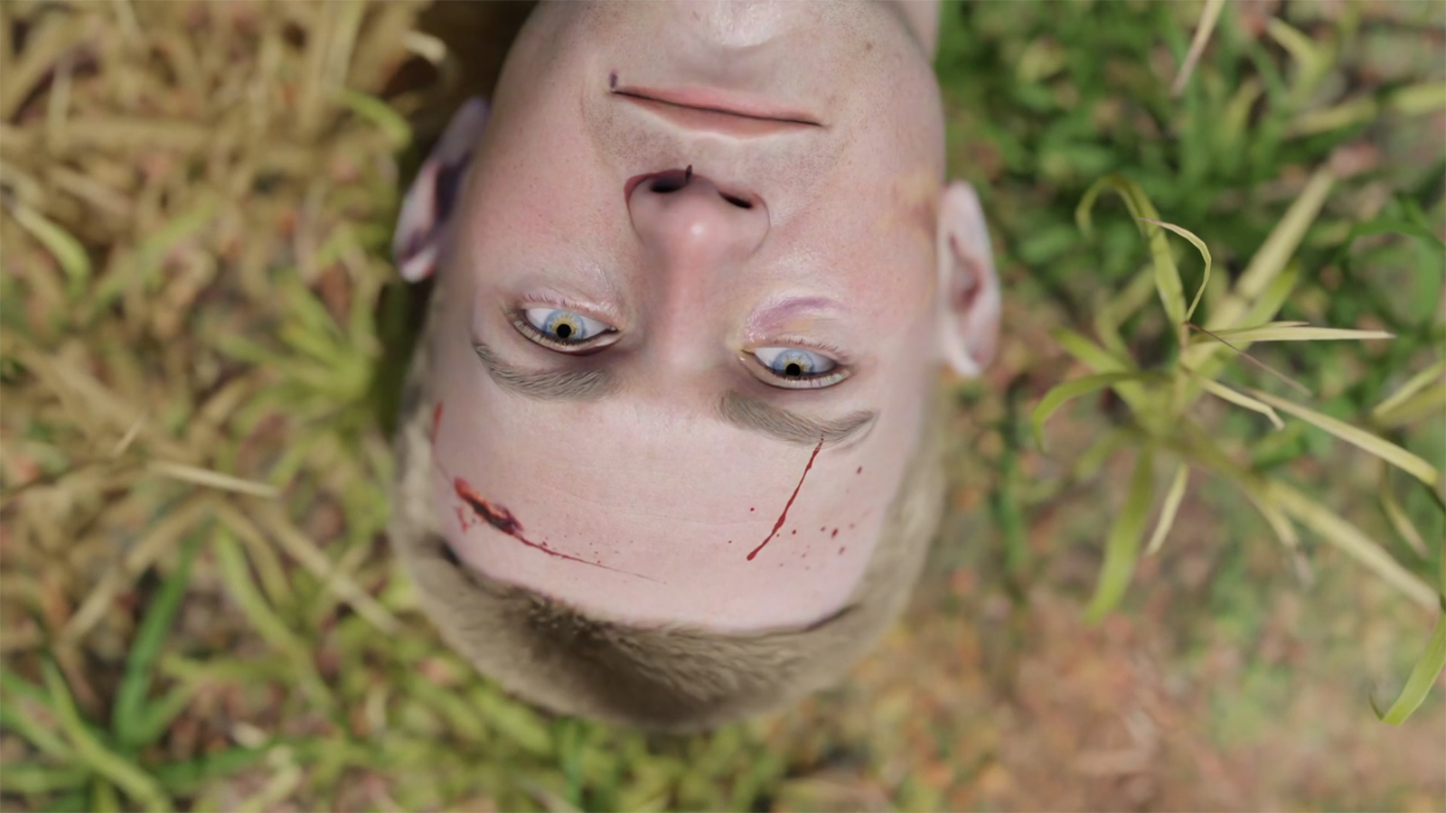 Photo realistic CGI head and neck of a young man with blonde hair, blue eyes, with blood spatters on face, lies on a background of grass
